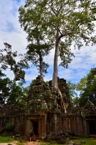 48380385_323693625140877_4633137554709807104_n